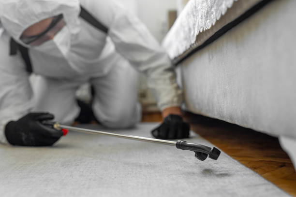 Professional Bed Bug Control technician working in Clarendon, AR